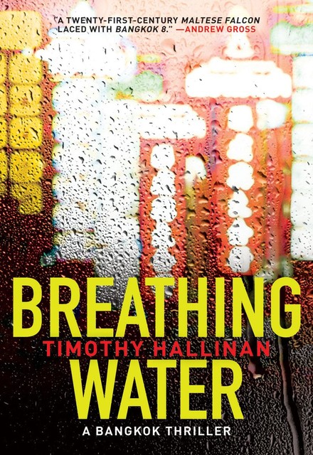 Breathing Water, Timothy Hallinan