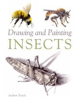 Drawing and Painting Insects, Andrew Tyzack
