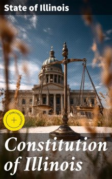 Constitution of Illinois, State of Illinois