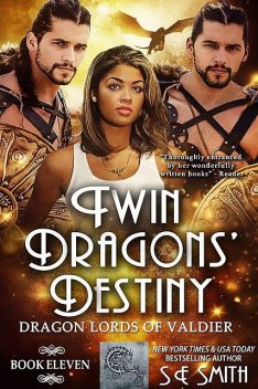 Twin Dragons' Destiny, S.E.Smith