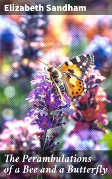 Perambulations of a Bee and a Butterfly, Elizabeth Sandham