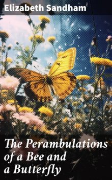 Perambulations of a Bee and a Butterfly, Elizabeth Sandham