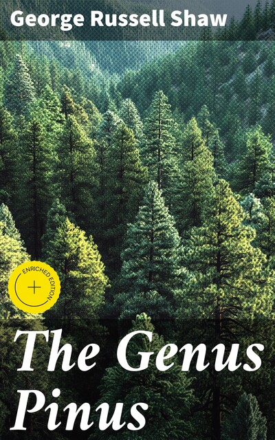 The Genus Pinus, George Russell Shaw