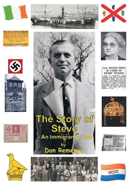 The Story of Steve, Dan Remenyi