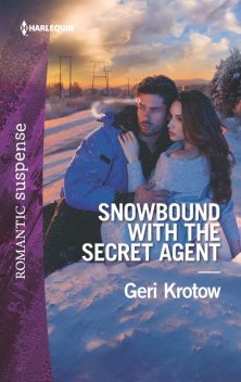 Snowbound with the Secret Agent, Geri Krotow