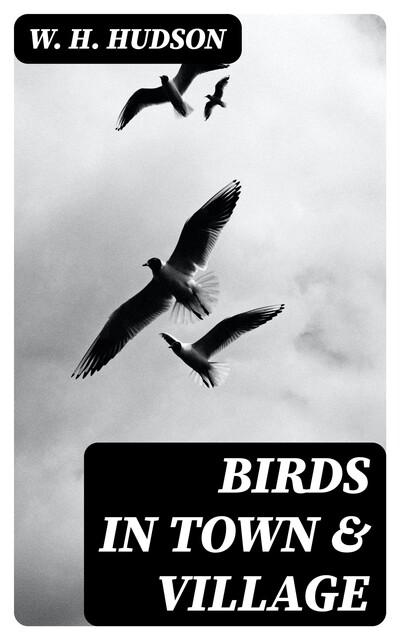 Birds in Town & Village, W.H.Hudson