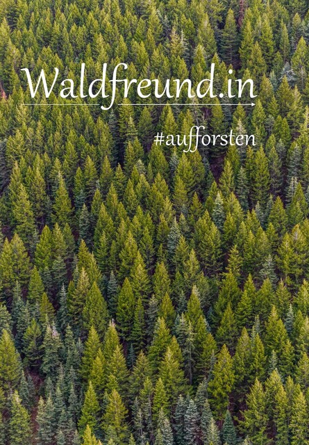 Waldfreund.in, Daniel Zabota