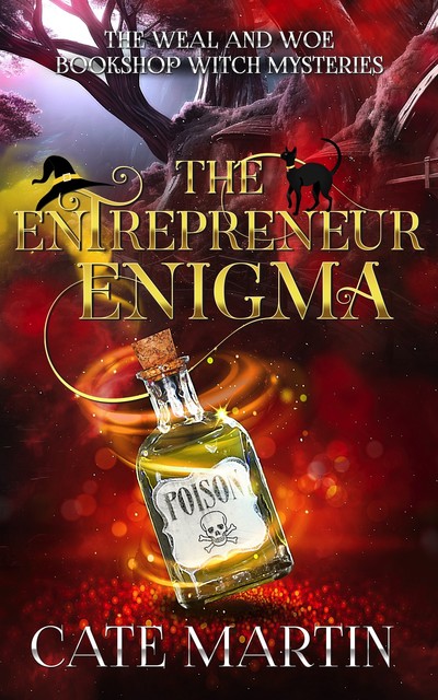 The Entrepreneur Enigma, Martin Cate