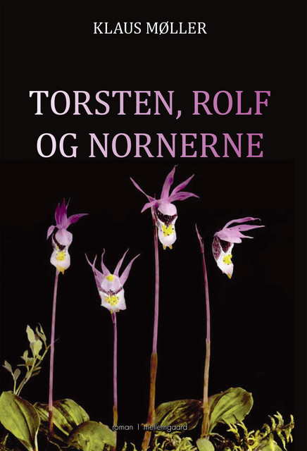 TORSTEN, ROLF OG NORNERNE, Klaus Møller