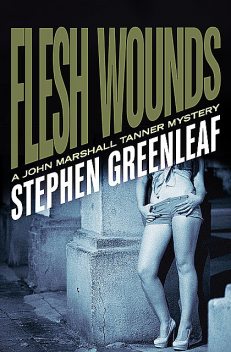 Flesh Wounds, Stephen Greenleaf
