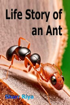 Life Story of an Ant, Sharr Riya