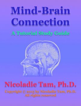 Mind-Brain Connection: A Tutorial Study Guide, Nicoladie Tam