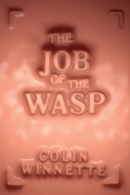 The Job of the Wasp, Colin Winnette