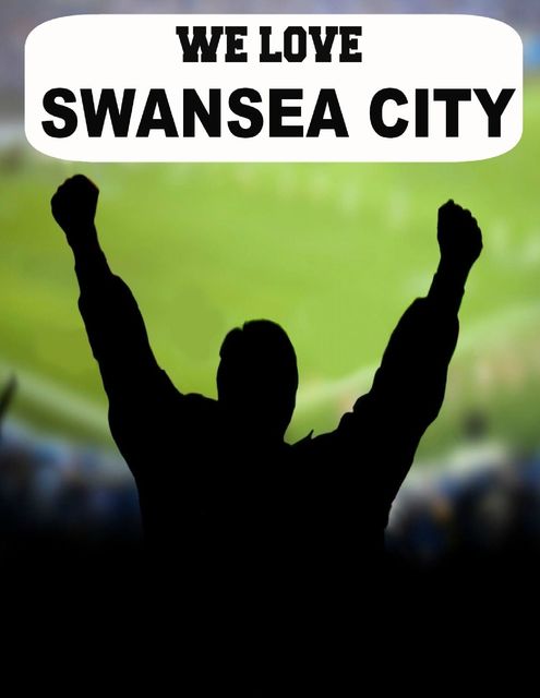 We Love Swansea City, Luke Strange