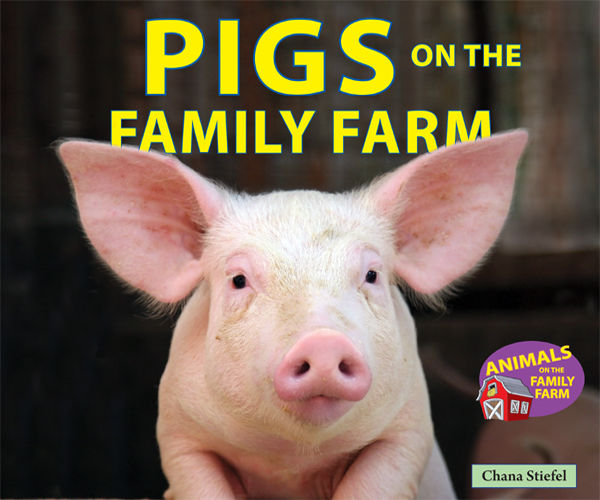 Pigs on the Family Farm, Chana Stiefel