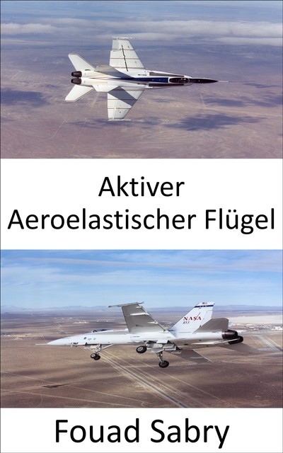 Aktiver Aeroelastischer Flügel, Fouad Sabry