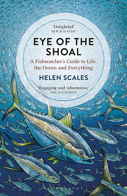 Eye of the Shoal, Helen Scales