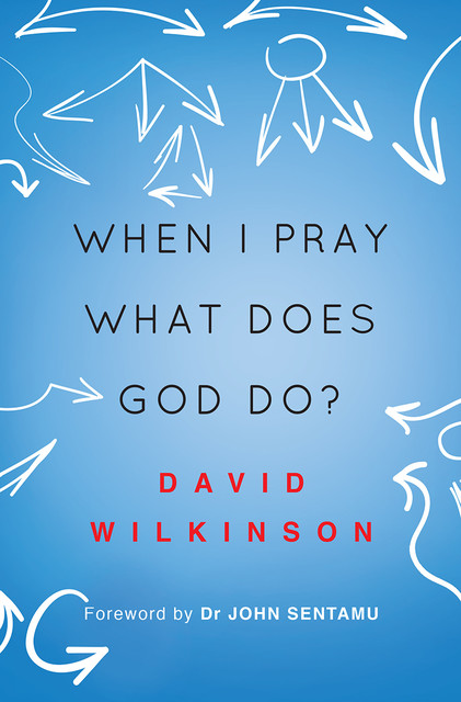 When I Pray, What Does God Do, David Wilkinson