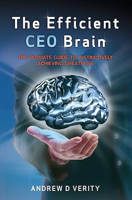The Efficient CEO Brain, Andrew D Verity