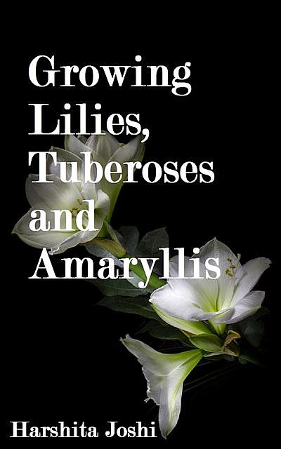 Growing Lilies, Tuberoses and Amaryllis, Harshita Joshi