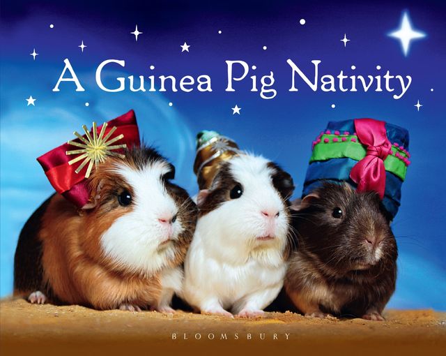 A Guinea Pig Nativity, Bloomsbury Publishing