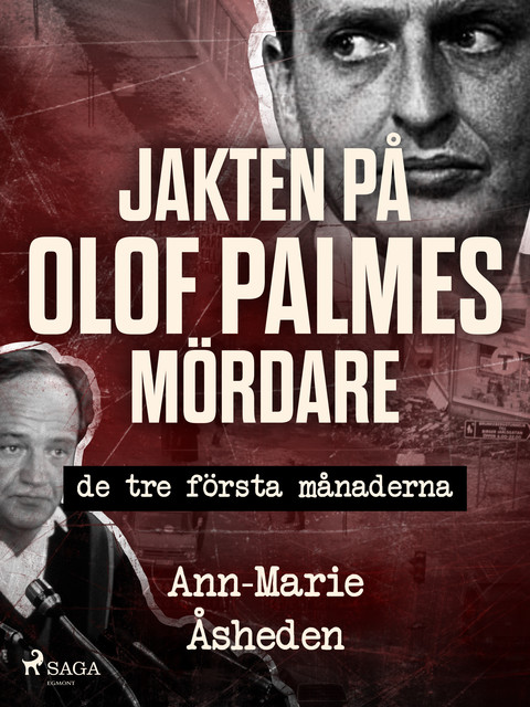 Jakten på Olof Palmes mördare, Ann-Marie Åsheden