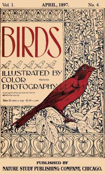 Birds, Illustrated by Color Photography, Vol. 1, No. 4 / April, 1897, Various