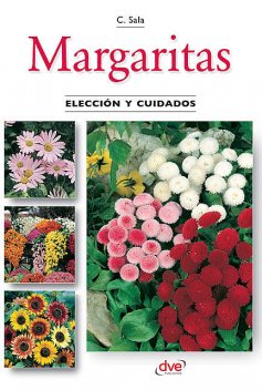 Margaritas – Elección y cuidados, Carmen Sala