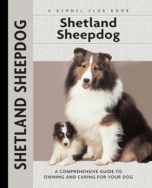 Shetland Sheepdog, Charlotte Schwartz