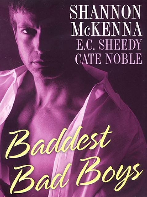 Baddest Bad Boys, Shannon McKenna, Cate Noble, E.C. Sheedy