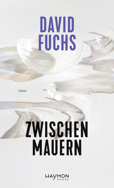 Zwischen Mauern, David Fuchs