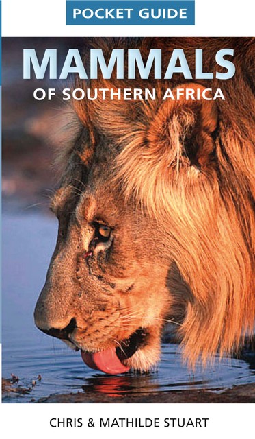 Pocket Guide Mammals of Southern Africa, Chris Stuart