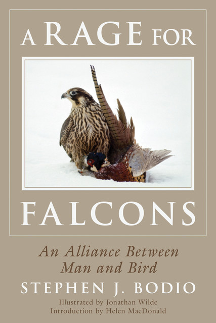 A Rage for Falcons, Stephen Bodio