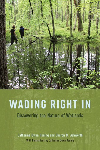 Wading Right In, Catherine Owen Koning, Sharon M. Ashworth