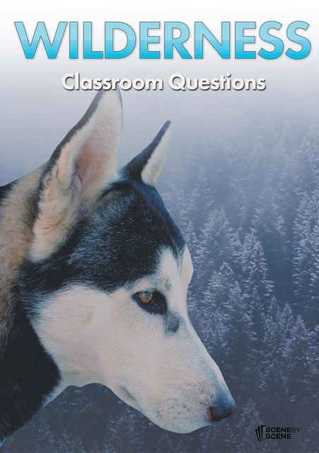 Wilderness Classroom Questions, Amy Farrell