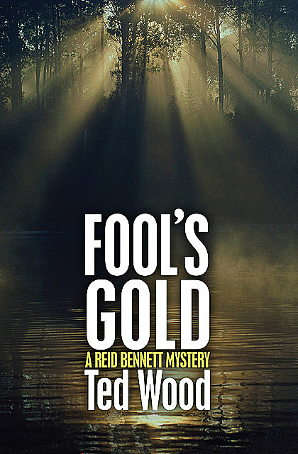 Fool's Gold, Ted Wood
