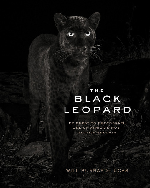 The Black Leopard, Will Burrard-Lucas