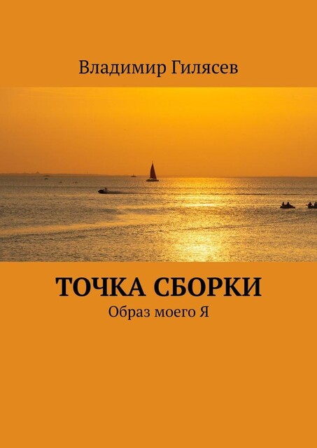 Точка сборки. Образ моего Я, Владимир Гилясев