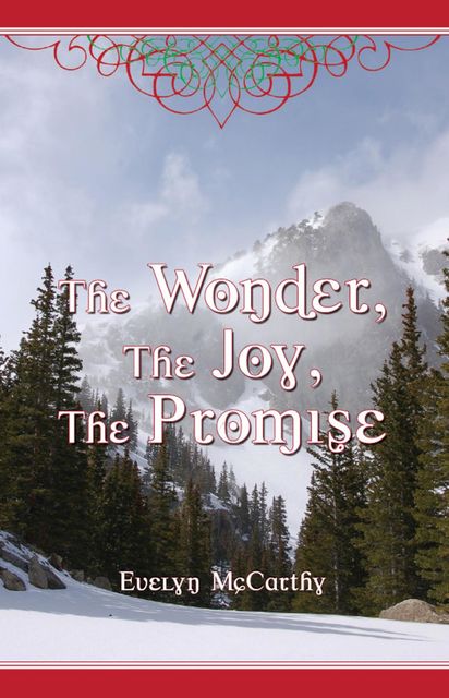 The Wonder, The Joy, The Promise, Evelyn McCarthy