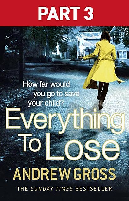 Everything to Lose: Part Three, Chapters 39–69, Andrew Gross