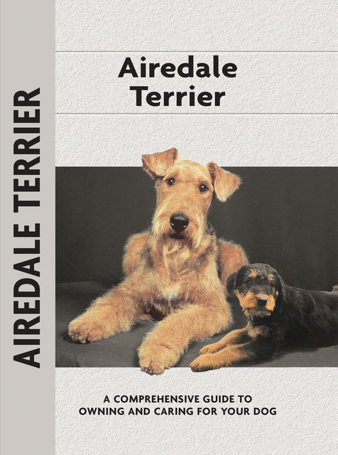 Airedale Terrier, Bardi McLennan