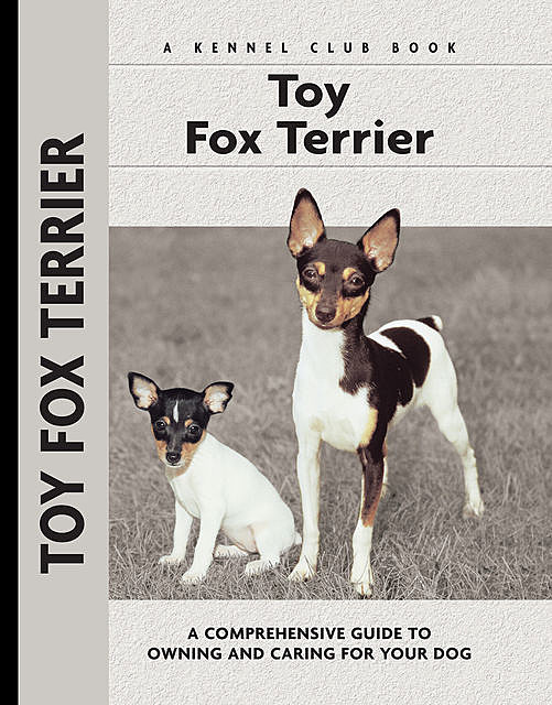 Toy Fox Terrier, Richard G.Beauchamp