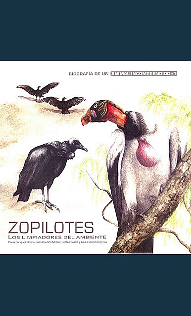 Zopilotes, Laura López Argoytia, Julio Coutiño Molina, Paula Enríquez Rocha, Sophie Calmé