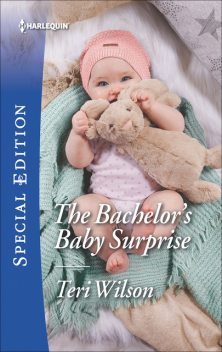 The Bachelor's Baby Surprise, Teri Wilson