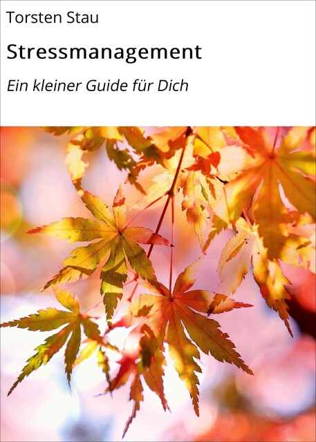 Stressmanagement, Torsten Stau