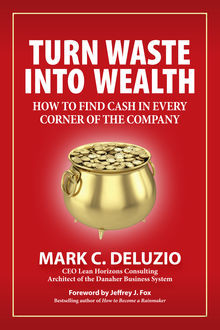 Turn Waste into Wealth, Mark C. DeLuzio