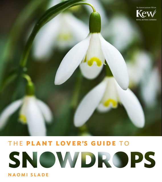 The Plant Lover's Guide to Snowdrops, Naomi Slade