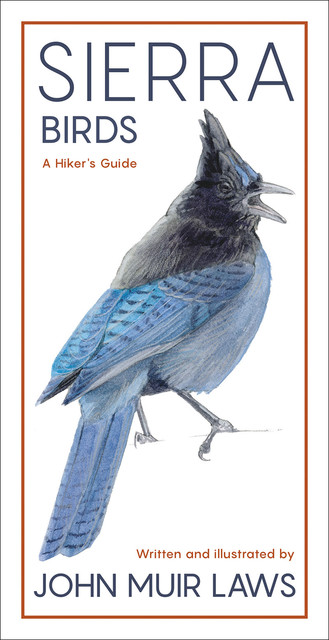 Sierra Birds, John Muir Laws