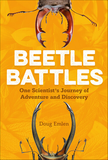 Beetle Battles, Douglas Emlen