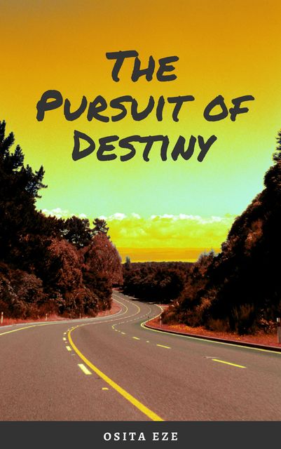 The Pursuit of Destiny, Osita Eze